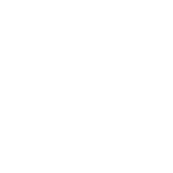 G-FORCE