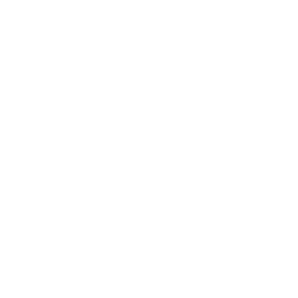 Viezu